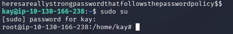 fase3.1_sudo_root.png