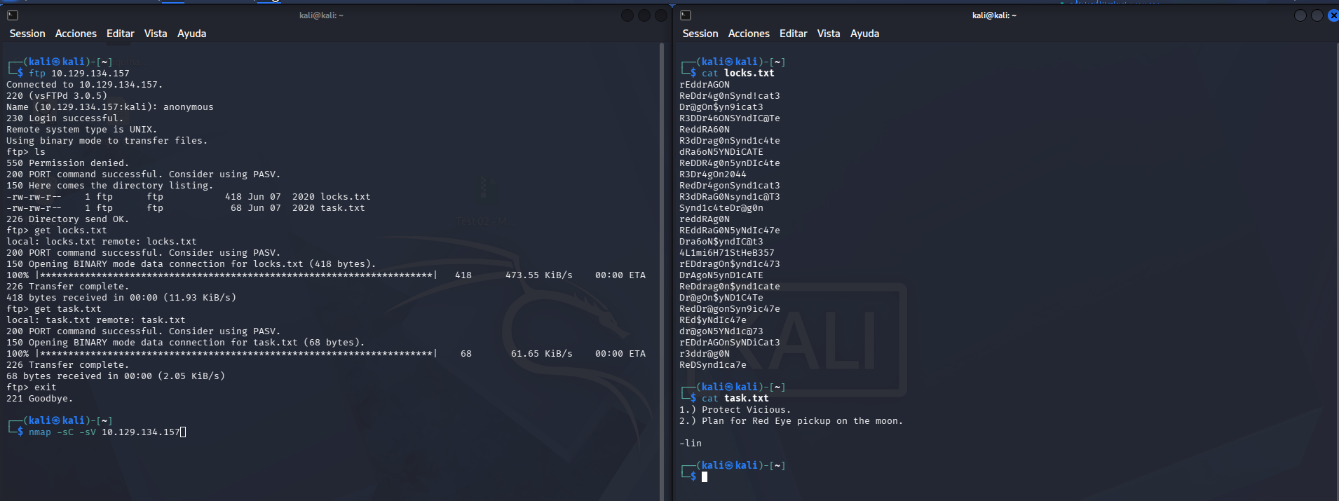 fase1.2_ftp_anonymous.png