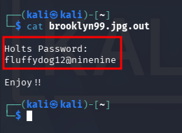 fase1.5_note_holt.png