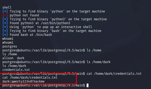 fase2.1_dark_credentials.png