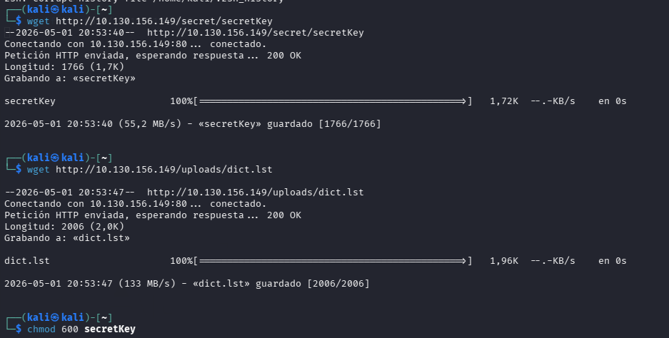 fase1.4_download_files.png