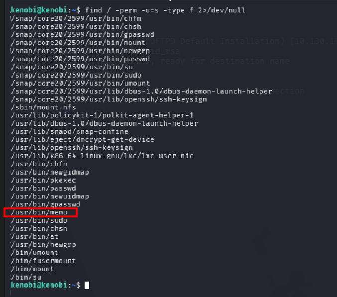 fase3.1_suid_find.png