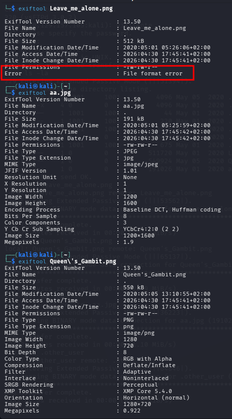 fase1.3_exiftool.png
