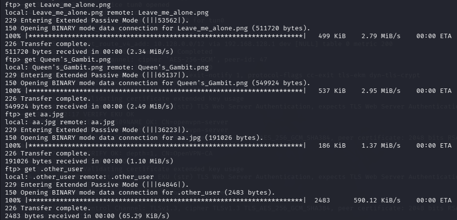 fase1.3_ftp_downloads.png