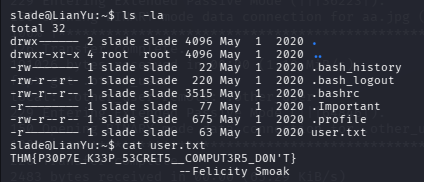 fase2.2_user_flag.png