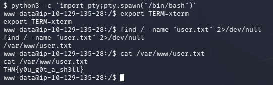 fase2.4_user_flag.png