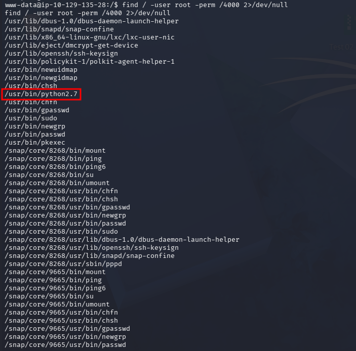 fase3.1_suid_find.png