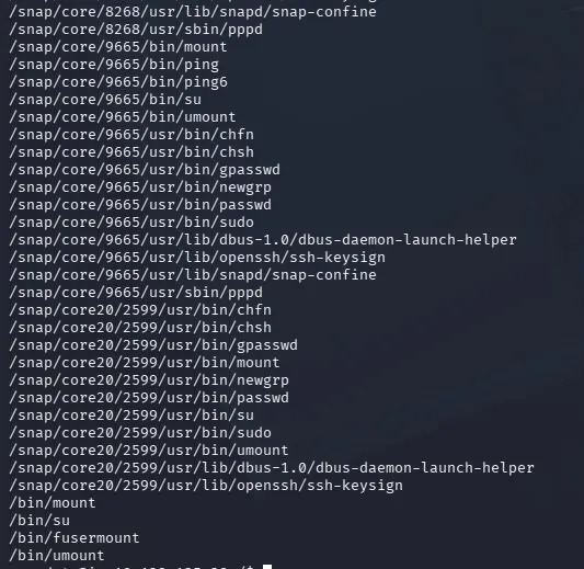 fase3.1_suid_find2.png