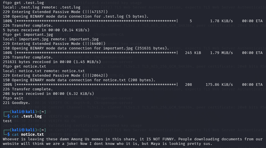 fase1.2_ftp_files.png