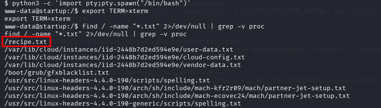 fase2.3_find_flags.png
