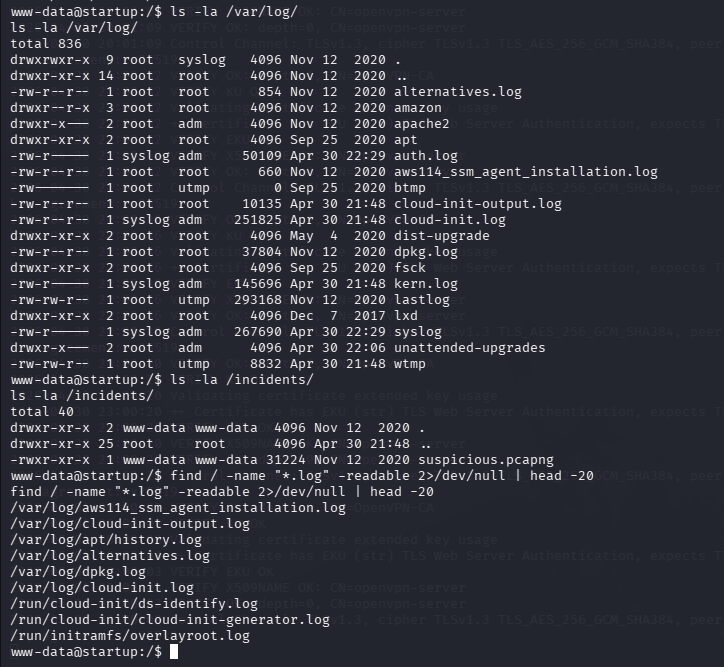 fase3.1_enum_internal.png