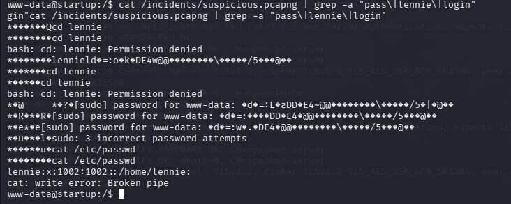 fase3.1_pcap_strings.png