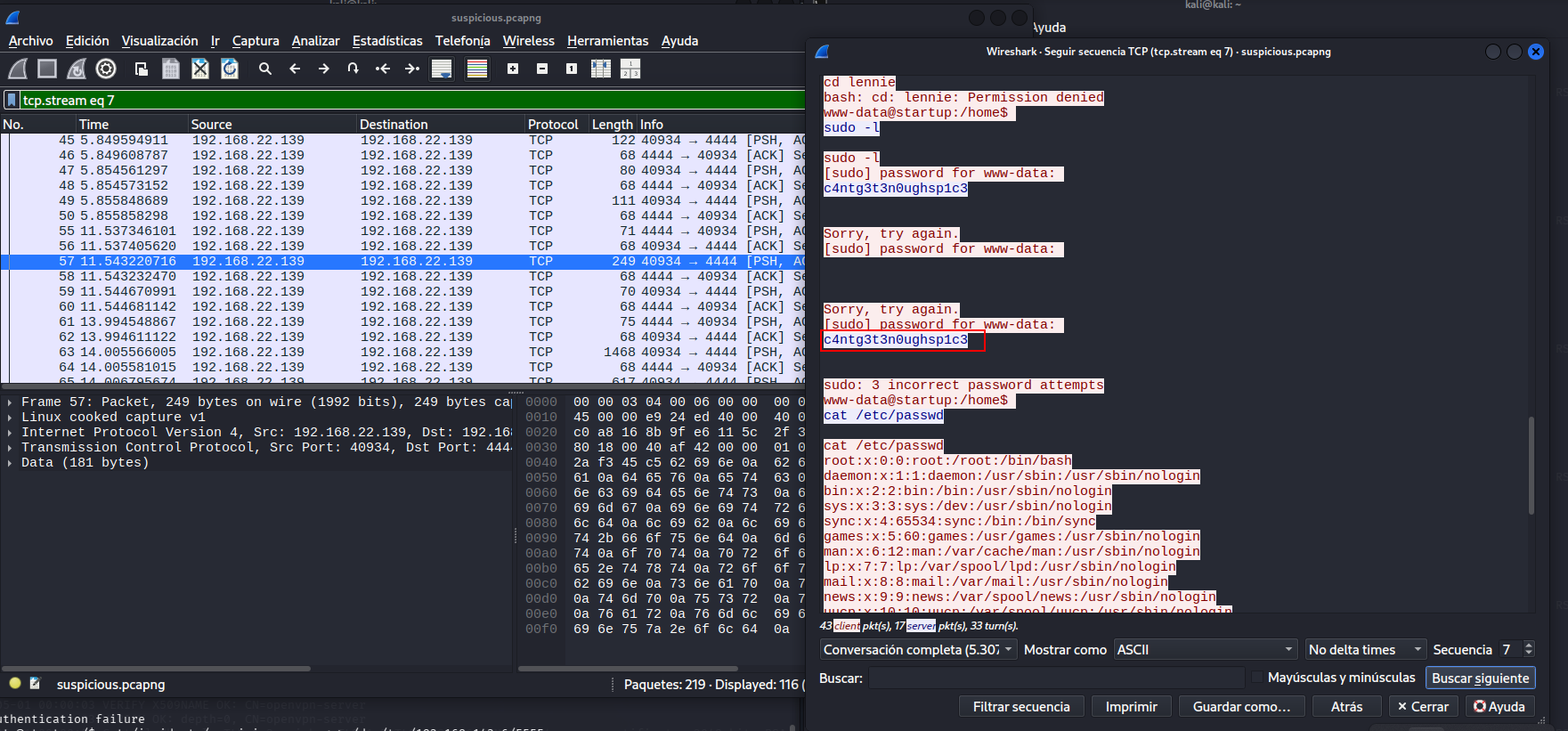 fase3.3_wireshark_stream7.png