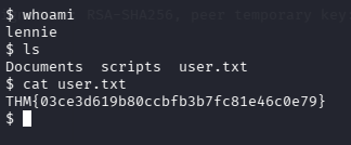 fase3.5_user_flag.png