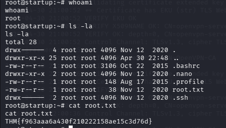 fase4.4_root_flag.png