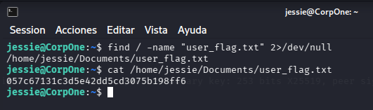 fase2.2_user_flag.png