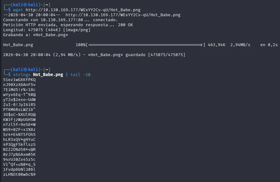 fase1.2_strings_hotbabe.png